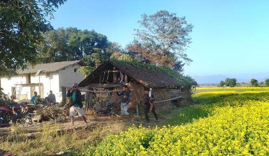 बालबालिकामा कुपोषण बढ्दै