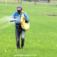 स्वास्थ्य परीक्षणको सिन्डिकेट अन्त्य गर्न माग