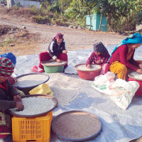 जातीय भेदभाव र छुवाछुत मुक्त ‘बलुवा’ गाउँ