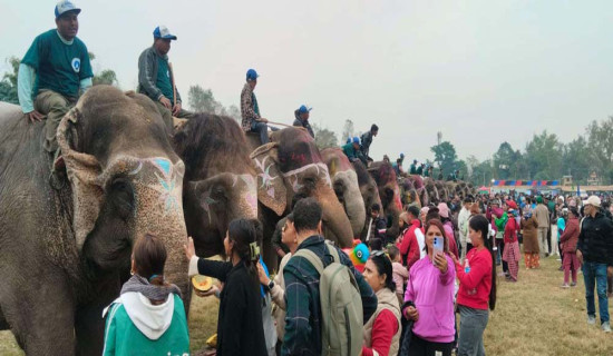 सौराहामा हात्तीलाई वनभोज