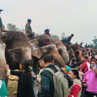 भारतीय पूर्व प्रधानमन्त्री सिंहको राजकीय सम्मानसहित निगमबोध घाटमा अन्त्येष्टि