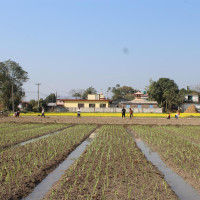 बिपी राजमार्गमा यातायातको चाप बढ्दै