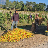 समावेशीकरणको दिशामा नयाँ फड्को : गोरखापत्रद्वारा प्रकाशित बराम भाषा