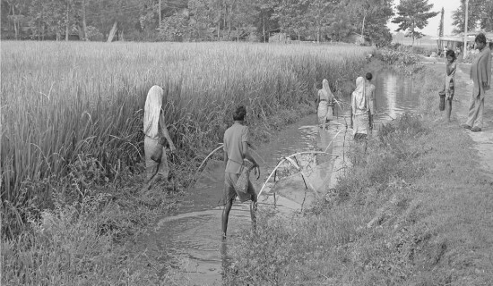 समावेशीकरणको दिशामा नयाँ फड्को : गोरखापत्रद्वारा प्रकाशित उराँव  भाषा