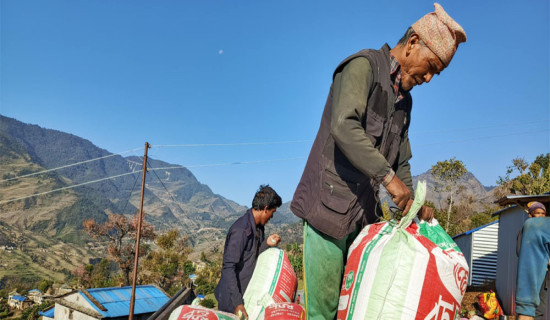 बाह्र सय क्विन्टल कोदो निर्यात