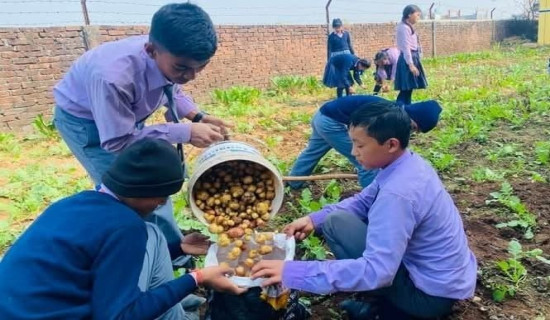 विद्यार्थीद्वारा उत्पादित तरकारी दिवाखाजामा प्रयोग