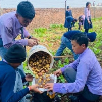 ललितपुर स्पोर्ट्स र थापाथली फाइनलमा