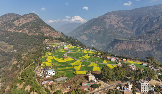 रत्नेचौरको तोरीबारी र धौलागिरी