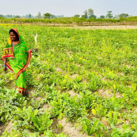 सात बिघाकाे जखेराताल