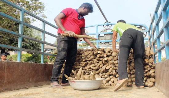 सशस्त्र प्रहरी बलः विपदमा खोज तथा उद्धारदेखि राजस्व सङ्कलन