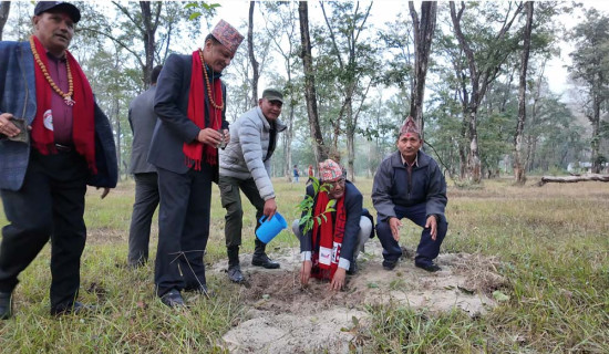 परशुरामधाममा रुद्राक्षका बिरुवा रोपण