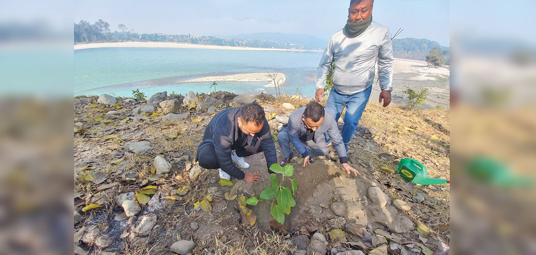 चौका र छक्काबापत वृक्षरोपण