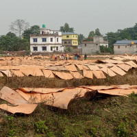 पार्टीमा अनुशासन आवश्यक छ : महासचिव पोखरेल