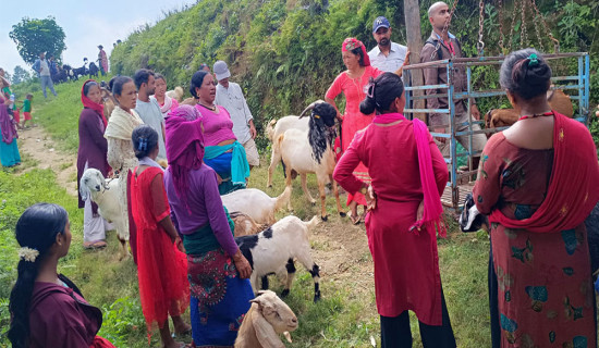 किसानलाई प्रतिफलको आधारमा प्रदेश सरकारको अनुदान