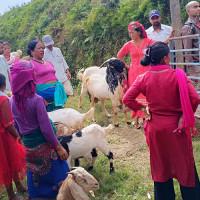 सीमान्तकृत समुदायलाई कृषिऔजार वितरण