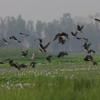 खानेपानी ट्याङ्की