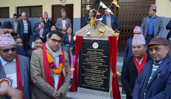 उर्लाबारीमा उद्धार गरिएको हिउँ चितुवा चिडियाखानामा