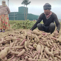 प्रहरी सहायक निरीक्षक रावलको निधन