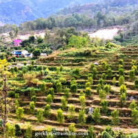 बुद्धसिंह मार्ग : १० किमी खण्डमा कालोपत्र हुने