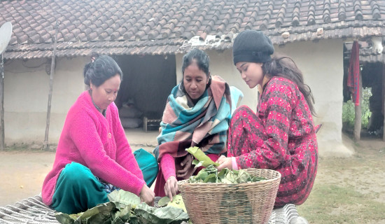 शालिग्रामको दोहन रोक्न शिलामै भगवानको नामाङ्कन