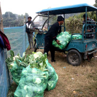 गुल्मीमा विद्युतीय राहदानीको अनलाइन आवेदन निशुल्क