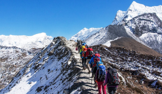 स्वास्थ्य स्वयंसेविकालाई यातायात सेवा निःशुल्क