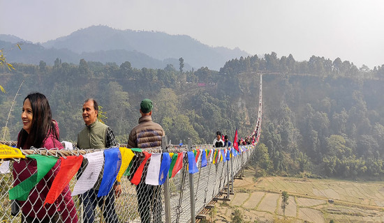 बिपी प्रतिष्ठानको समस्या समाधान खोजे पाँच दलले