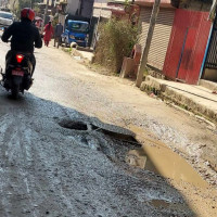 लोक सङ्गीतमा स्याङ्जाका कलाकारको प्रभाव