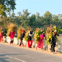 चार जनाको भरमा जिल्ला अस्पताल