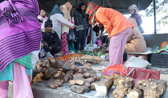 लोप हुँदै स्थानीय माछा