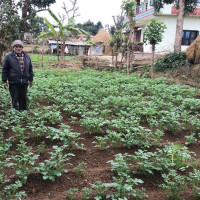 कर्णाली सरकारद्वारा एक सय दिनको प्रगति सार्वजनिक