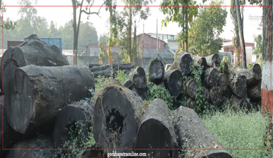 प्रदेश १ को नाममा सकस : मुख्यमन्त्री भन्नुहुन्छ, ‘‘पहिचानको पक्षमा स्पष्ट छु’’