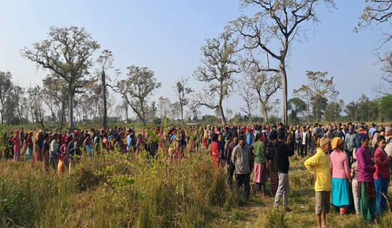 ‘माइक्रो रेल प्रविधिमा आधारित पोड वेका लागि सरकारले तत्काल कार्यविधि बनाउनुपर्छ’