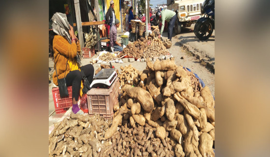 छाडा पशुचौपाया व्यवस्थापन नहुँदा कृषक हैरान