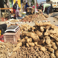 बदलिँदो थारु समाज र साहित्यक विषयक् गोष्ठी