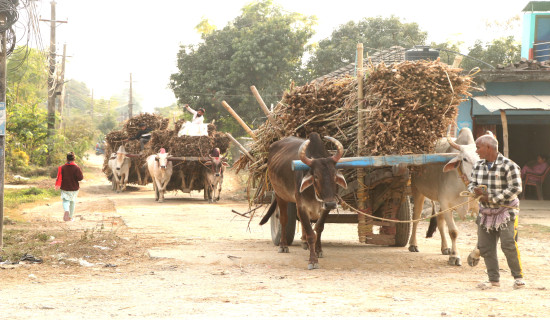 उखु ढुवानी