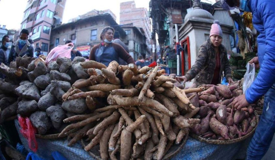 माघेसङ्क्रान्तिको कृषि उपज : कन्दमूलको कारोबार र मूल्य दुवै बढ्यो