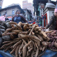 सुनचाँदीको मूल्यमा गिरावट