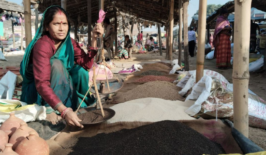 मधेशमा तिला सङ्क्रान्तिको रौनक