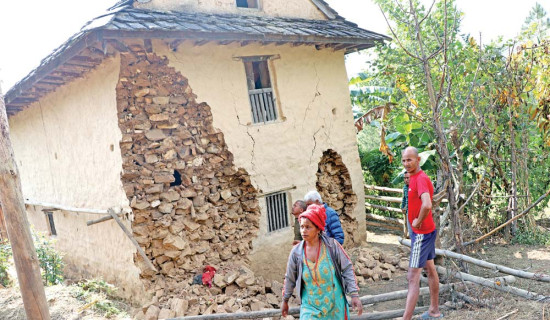 भोक्राहा नरसिंहमा सुरुभयो कुस्ती