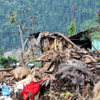 मुलुकको समृद्धिका लागि क्रियाशील हुन पर्वले उत्प्रेरित गर्ने उपराष्ट्रपतिको विश्वास