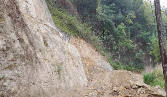 २६ केजीसम्म निकासी हुने यार्सागुम्बा अब आधा केजी मात्रै !