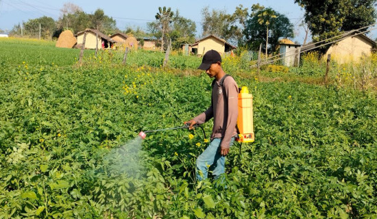 नेपालगगन्ज भुकम्प जोखिममा