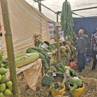 मोटरसाइकल दुर्घटनामा एकको मृत्यु