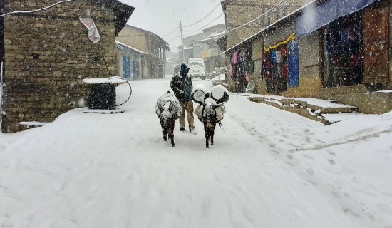 हुम्लामा हिमपातले जनजीवन प्रभावित