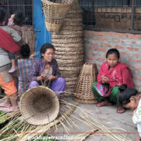 आईएमई सञ्चालकमाथि गोली प्रहार : तीन जना पक्राउ