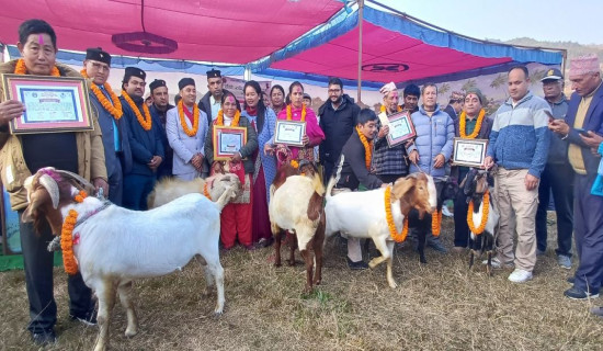 डकैतीको घटनाले स्थानीय त्रसित