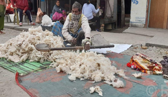 सिरक डसना बनाएर दैनिक एक हजार छ सयसम्म आम्दानी