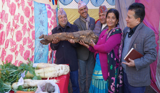 फेदीखोलाका ८५ उत्कृष्ट कृषक पुरस्कृत