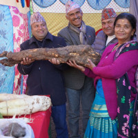 राष्ट्रपतिसँग कफी गफ